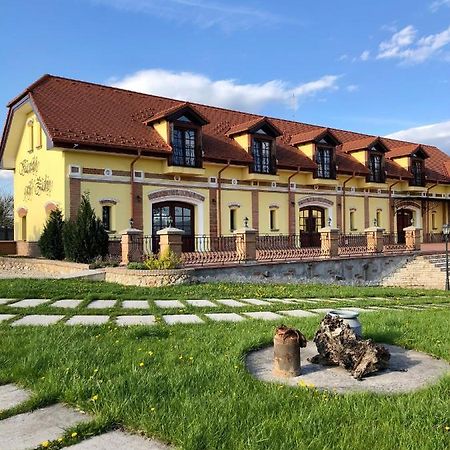 Kastely Grof Zichy Hotel Haniska Exterior photo