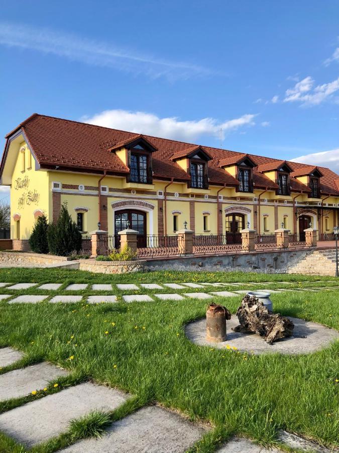 Kastely Grof Zichy Hotel Haniska Exterior photo
